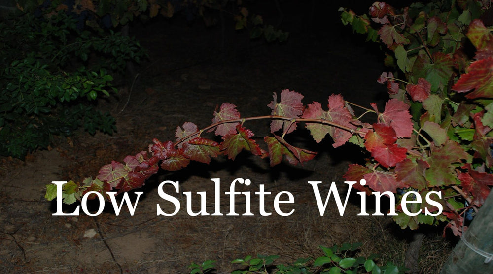 Red and green grapevine leaves at night, representing low sulfite wine production